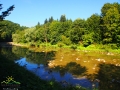 Rzeka Osława w Mokrem w pobliżu Rezerwatu Przełom Osławy.