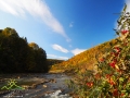 Rezerwat przyrody PRZEŁOM OSŁAWY NAD MOKREM i kolory jesienią.