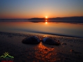 Muszla małży na piasku w blasku zachodzącego słońca nad Zalewem Solińskim.