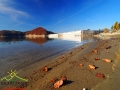 Liście buków jesienią na plaży w pobliżu zapory w Solinie.