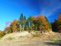 Kolory na ziemi, drzewach i niebie jesienią w Bieszczadach.