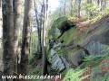Kamień nad Rzepedzią - skupisko skał piaskowcowych na 1,5 km!
