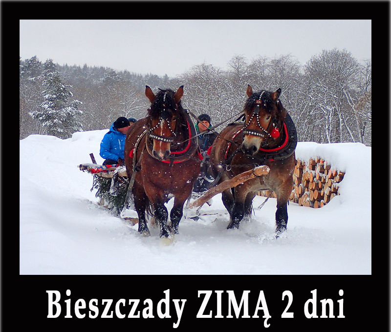 ZIMA w Bieszczadach w 2 dni - kuligi, wyciągi, wędrówki po górach na rakietach śnieżnych i inne atrakcje