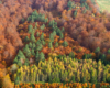 Kolory jesieni na drzewach - to najpiękniejsza pora roku na pograniczu Bieszczad i Beskidu Niskiego - zdjęcia wykonaliśmy podczas lotu paralotnią.