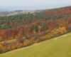 Kolory jesieni na drzewach - to najpiękniejsza pora roku na pograniczu Bieszczad i Beskidu Niskiego - zdjęcia wykonaliśmy podczas lotu paralotnią.