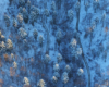Las na zboczach góry Chryszczata po wycince w szacie zimowej - zdjęcie wykonane podczas lotu na paralotni nad Bieszczadami.