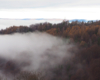 Mgły wchodzące w bieszczadzki las nad Zalewem Solińskim.