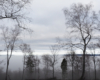 Mgła wypełniająca bieszczadzkie doliny - widok z lasów porastających górę Jawor nad Zalewem Solińskim.