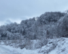 Tory na linii kolejowej między Zagórzem, a Komańczą, a tak dokładnie w Wysoczanach, linia telefoniczna, a wyżej las pokryty śniegiem.