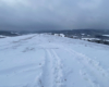 Biały Wierch 597m - góra między Wysoczanami, Szczawnem i Kulasznem zimą.
