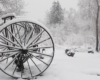 Grabarka - maszyna służąca do grabania siana i ciągnięta przez konia przysypana śniegiem.