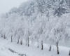 Zima na pograniczu Bieszczad i Beskidu Niskiego końcem stycznia 2021 - czy trzeba jakieś dodatkowe atrakcje by wybrać się na wycieczkę do Województwa Podkarpackiego?