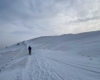 Szlak niebieski z Wołosatego na Tarnicę - najwyższy szczyt Bieszczad w Bieszczadzkim Parku Narodowym zimą.
