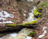Potok spływający z góry Biały Wierch 597m do rzeki Osława i liczne na nim wodospady, kaskady oraz stare drzewa i atrakcje.
