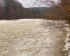 1 stycznia 2022 rzeka Osława poniosła swoim nurtem krę z wodą ze szczytów bieszczadzkich...