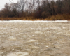 Rzeka Osława w połowie swojego biegu niosąca krę lodową - 1.01.2022