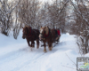 Konie na utwardzonej przez Kuligiem zimowej trasie.