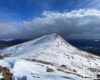 TARNICA 1346m - najwyższy szczyt Bieszczad podczas wędrówki zimą po szlaku 1