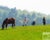 Czasami trzeba się nachodzić by wykonać dobre zdjęcie z końmi w Bieszczadach...