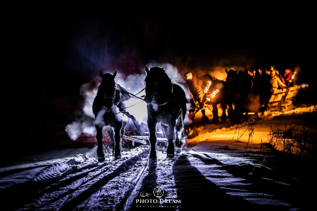 KULIG z końmi na trasie, którą jeździła pierwsza Bieszczadzka Kolejka Leśna - największa atrakcja zimą w Bieszczadach.