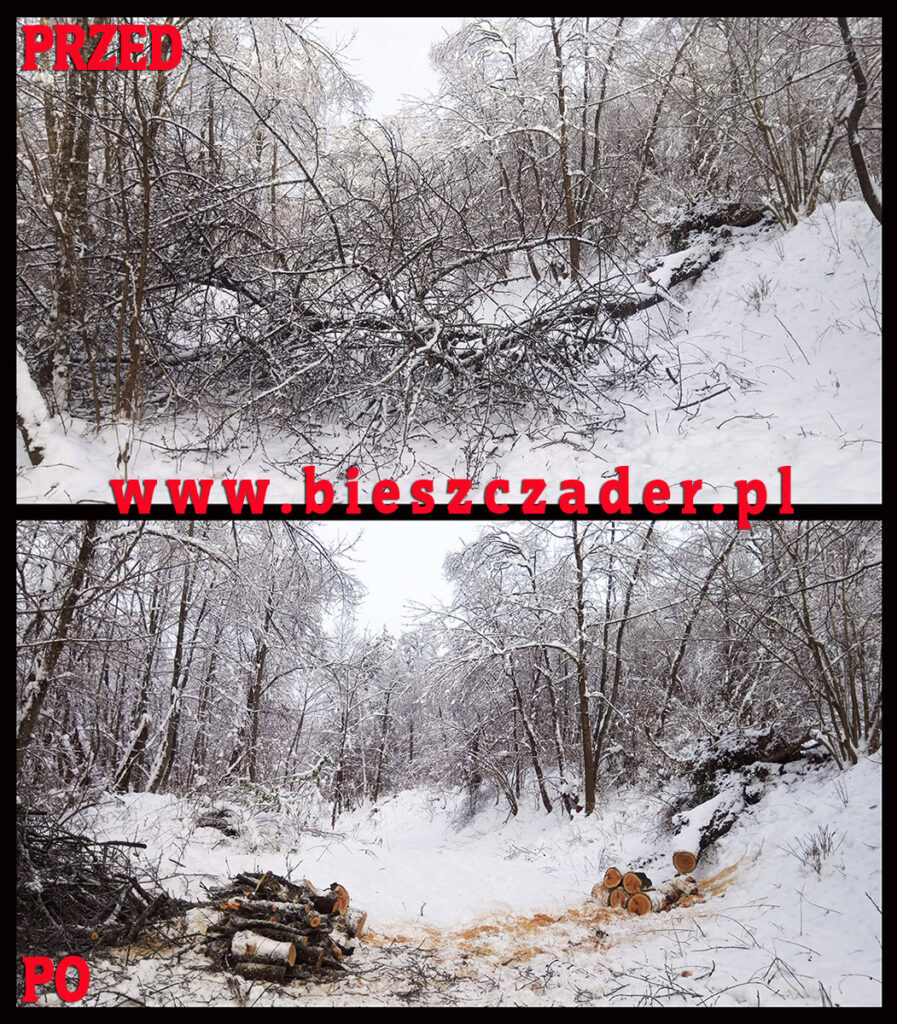 Opady ciężkiego śniegu w Bieszczadach powodują łamanie się drzew pod jego naporem...