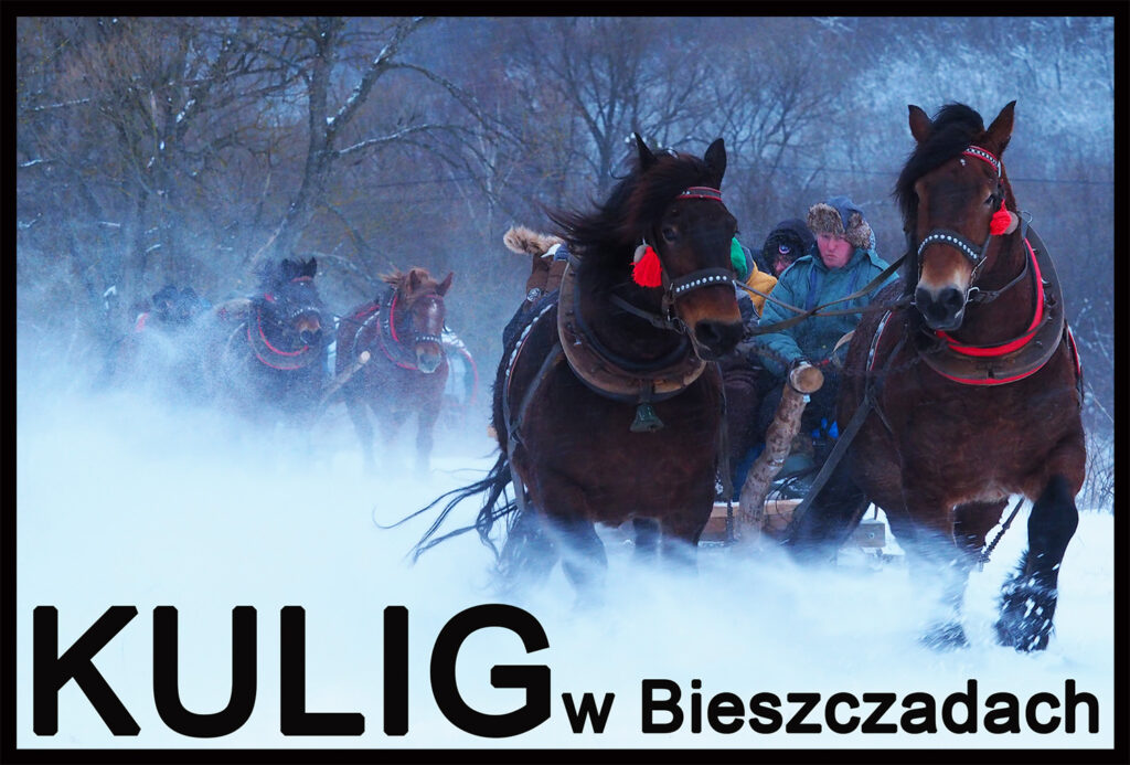 KULIG w Bieszczadach śladami pierwszej Bieszczadzkiej Kolejki Leśnej - najlepsza zimowa atrakcja w Województwie Podkarpackim